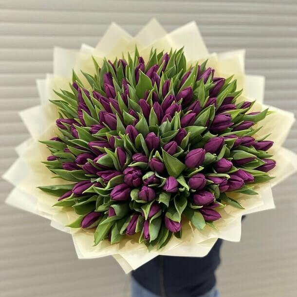 Букет 151 фиолетовый тюльпан
